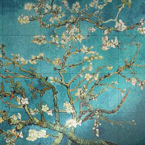 Ȳ���Ʈ��Ÿ�� 1��(30*30)