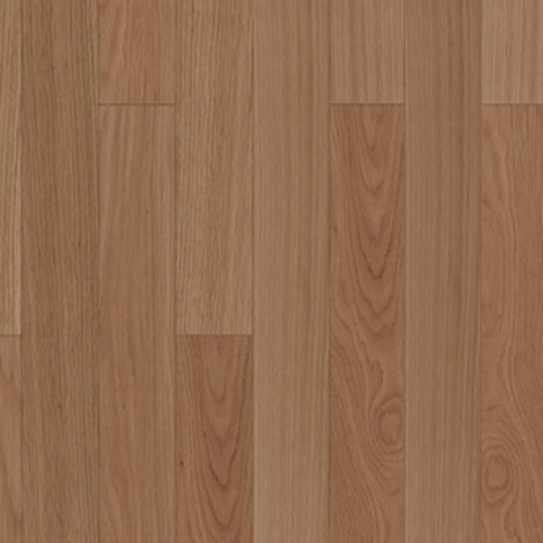 ��������(�µ�����)