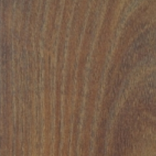 ����(������)