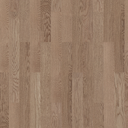 ��������(�µ�����)